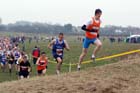 Senior Men's start, North East Harrier League, Wrekerton, Gateshead.